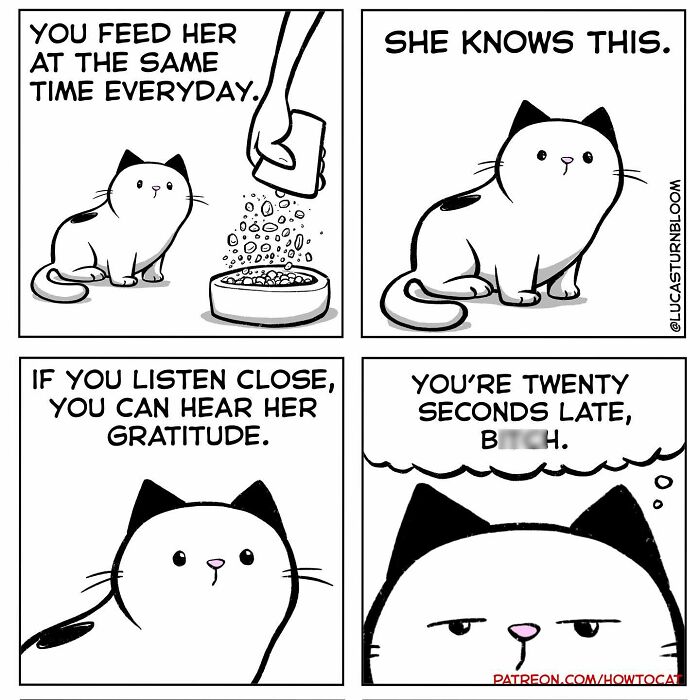 20 Comics That Highlight Hilariously Relatable Cat Behaviors, Illustrated By Lucas Turnbloom (New Pics) 20 Comics That Highlight Hilariously Relatable Cat Behaviors, Illustrated By Lucas Turnbloom (New Pics)