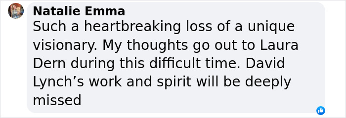 Laura Dern Breaks Silence On David Lynch’s Passing But Turns Off Instagram Comments