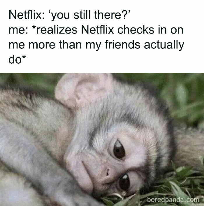 40 Memes That Hit Harder Than Small Talk At A Party You Didn’t Want To Attend 40 Memes That Hit Harder Than Small Talk At A Party You Didn’t Want To Attend