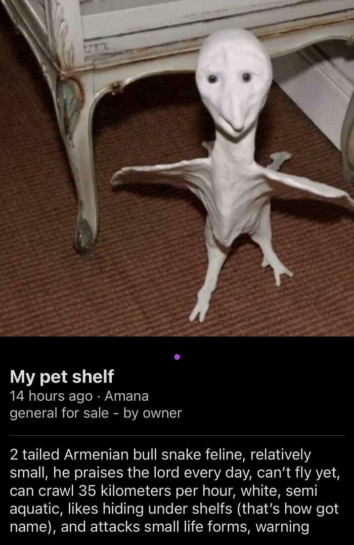 “100 Loose Teeth”: 30 Online Listings That Are Right Out Of A Horror Movie “100 Loose Teeth”: 30 Online Listings That Are Right Out Of A Horror Movie