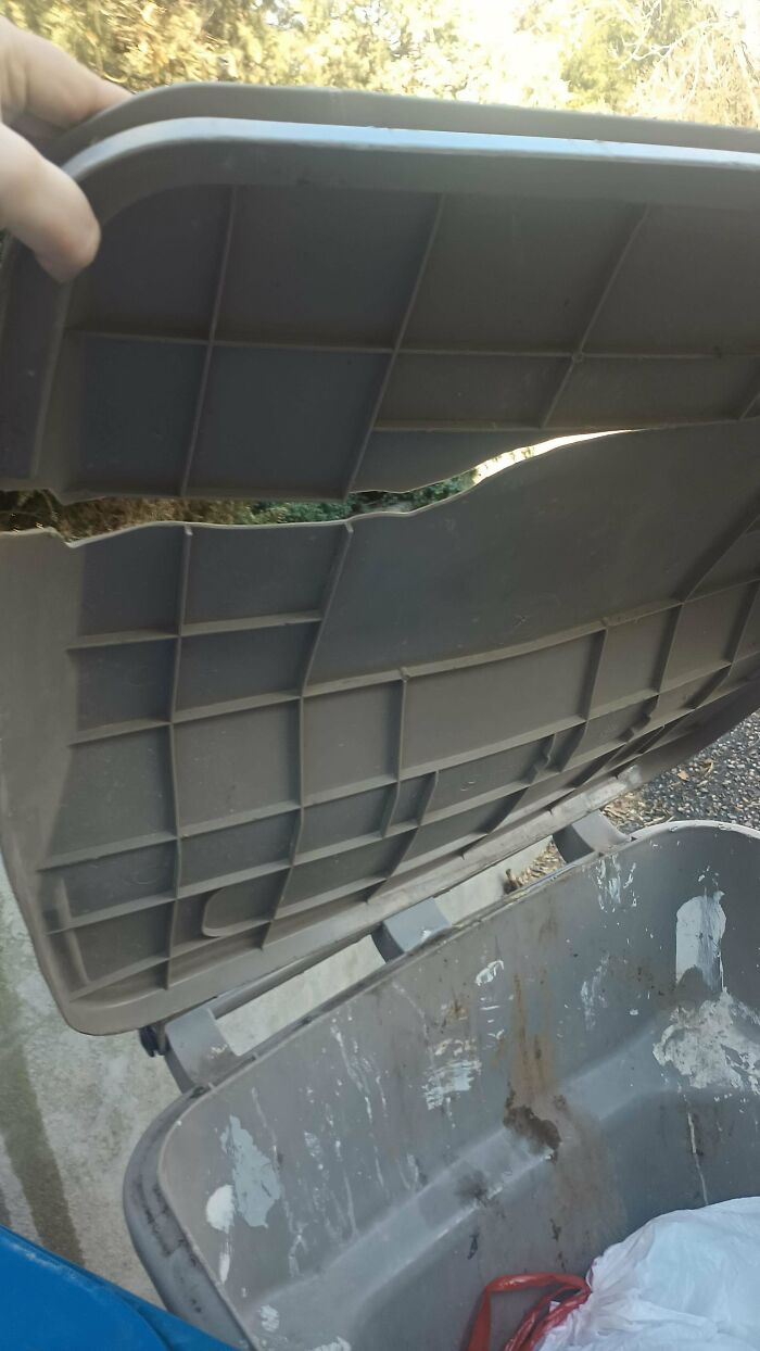 These 50 Pics Prove That We’re In The Middle Of A Selfishness And Entitlement Epidemic (March Edition) These 50 Pics Prove That We’re In The Middle Of A Selfishness And Entitlement Epidemic (March Edition)