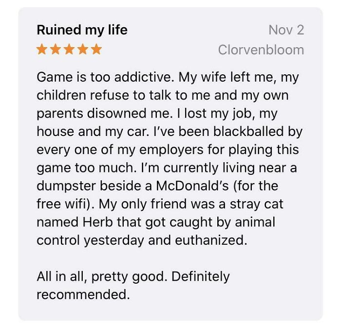 80 Hilariously Unhinged Reviews That Work Better Than Advertisements