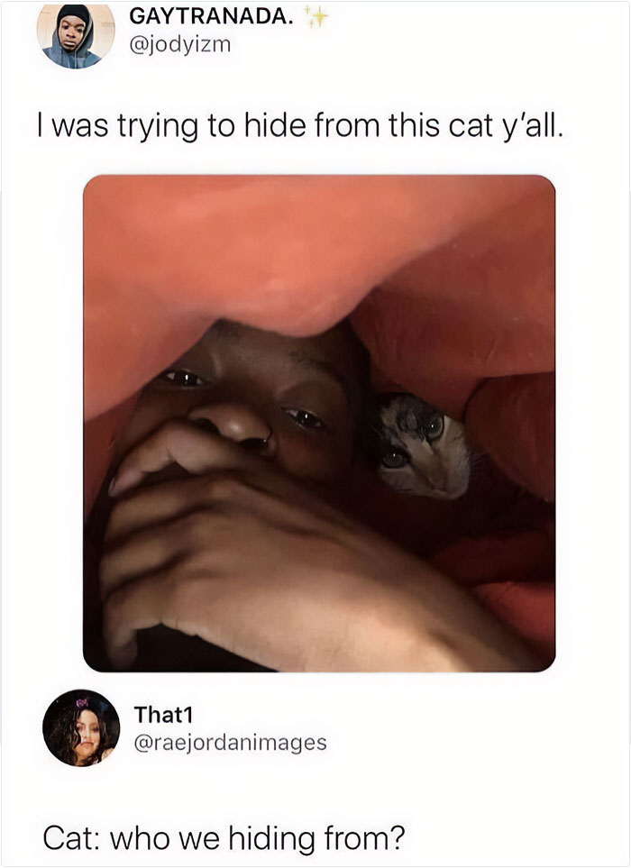 50 Hilarious Memes From ‘Sarcasm Daily’ To Help You Forget Your Problems For A Bit (New Pics)