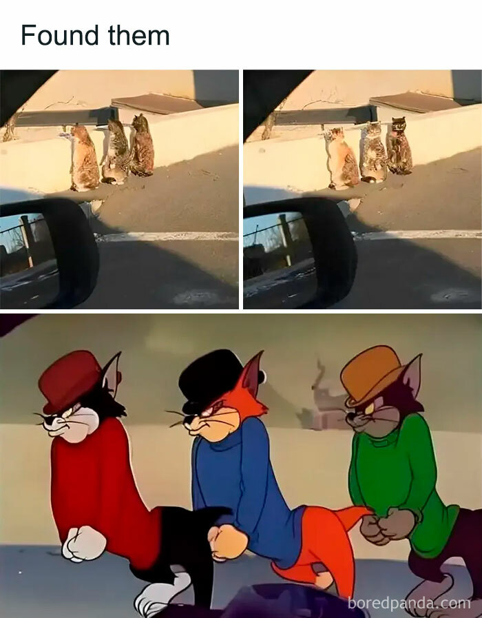 50 Hilarious Memes From ‘Sarcasm Daily’ To Help You Forget Your Problems For A Bit (New Pics)