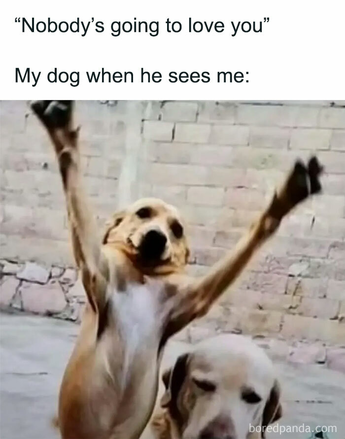 50 Hilarious Memes From ‘Sarcasm Daily’ To Help You Forget Your Problems For A Bit (New Pics)