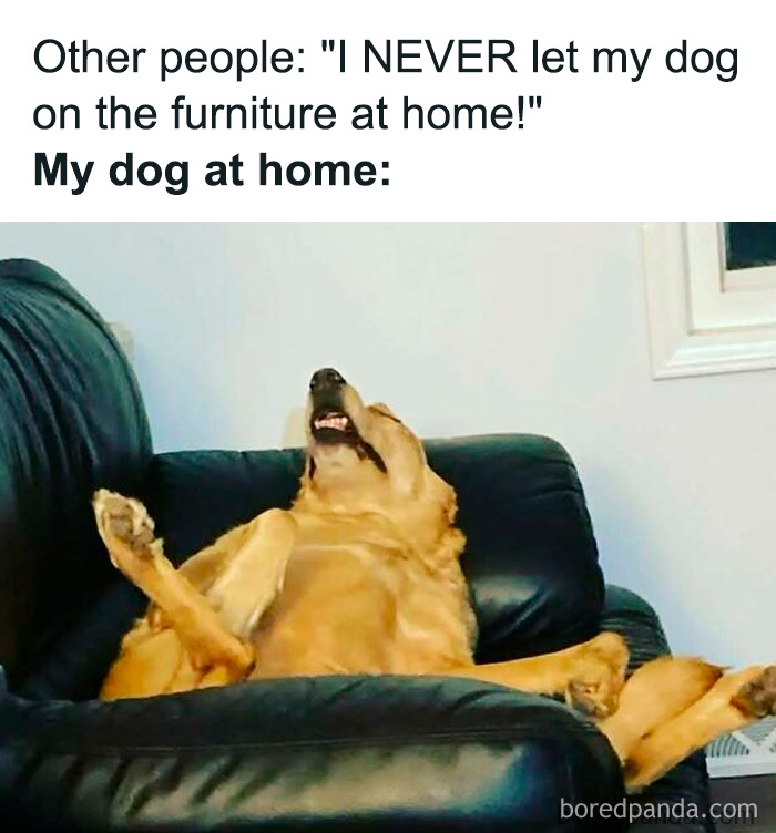 50 Hilarious Memes From ‘Sarcasm Daily’ To Help You Forget Your Problems For A Bit (New Pics)