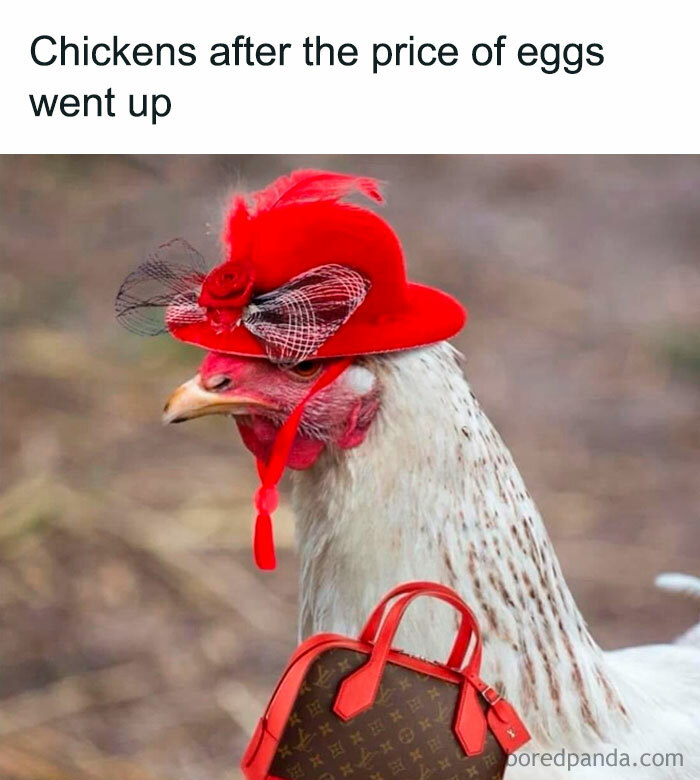 50 Hilarious Memes From ‘Sarcasm Daily’ To Help You Forget Your Problems For A Bit (New Pics)