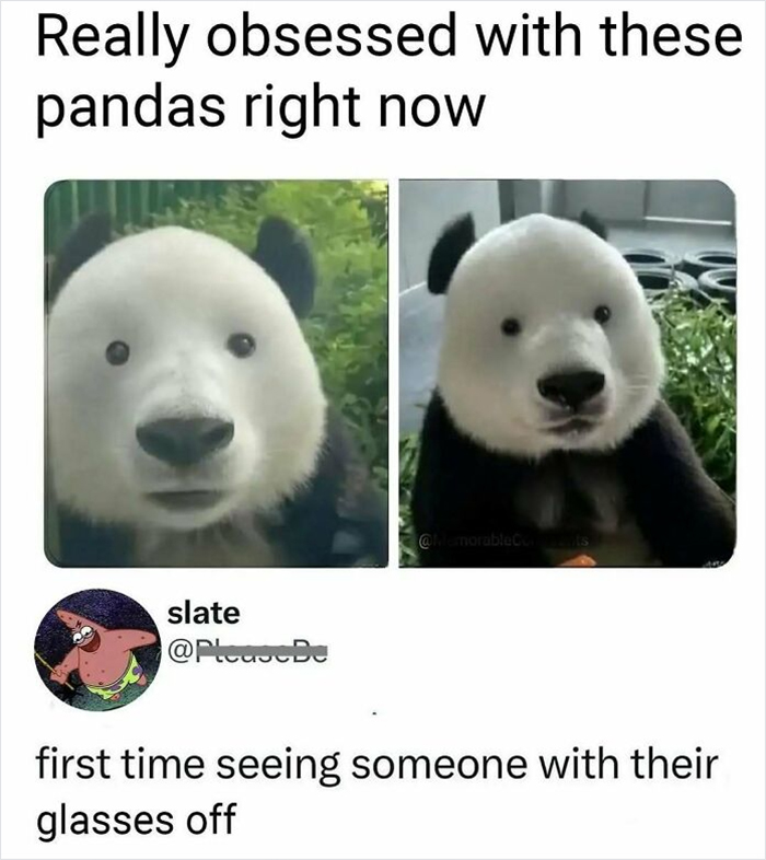 50 Hilarious Memes From ‘Sarcasm Daily’ To Help You Forget Your Problems For A Bit (New Pics)