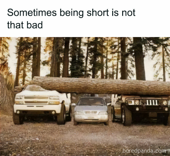 50 Hilarious Memes From ‘Sarcasm Daily’ To Help You Forget Your Problems For A Bit (New Pics)