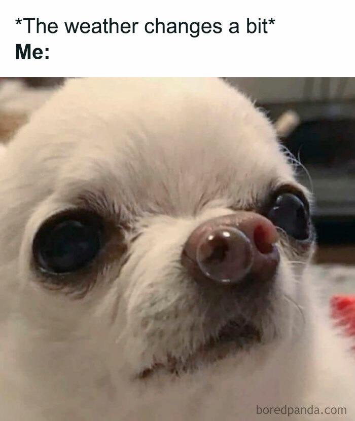 50 Hilarious Memes From ‘Sarcasm Daily’ To Help You Forget Your Problems For A Bit (New Pics)