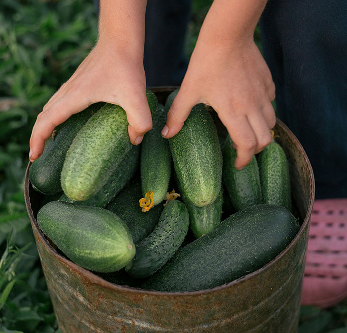 30 Unhinged Beauty Hacks That Might Actually Work (Even If They Sound Ridiculous) 30 Unhinged Beauty Hacks That Might Actually Work (Even If They Sound Ridiculous)