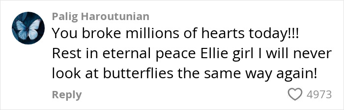 “I’m Heartbroken, and I’m Angry”: Influencer’s Daughter Passes Away at 10 Months Old “I’m Heartbroken, and I’m Angry”: Influencer’s Daughter Passes Away at 10 Months Old