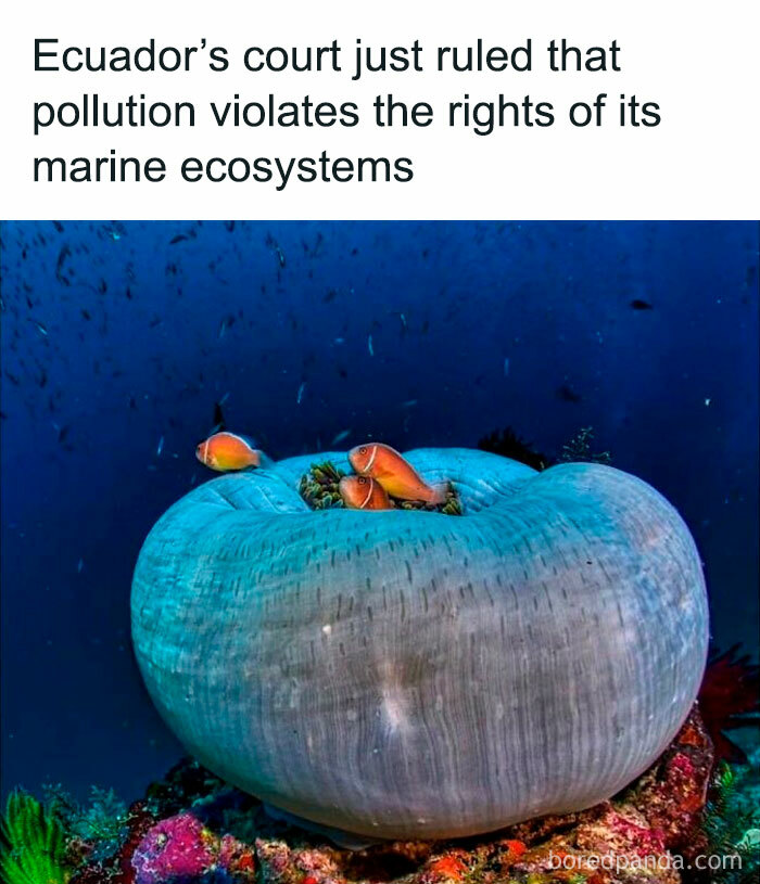 50 “Good News” Stories From “Global Positive News” To Restore Your Faith In Humanity (New Pics) 50 “Good News” Stories From “Global Positive News” To Restore Your Faith In Humanity (New Pics)