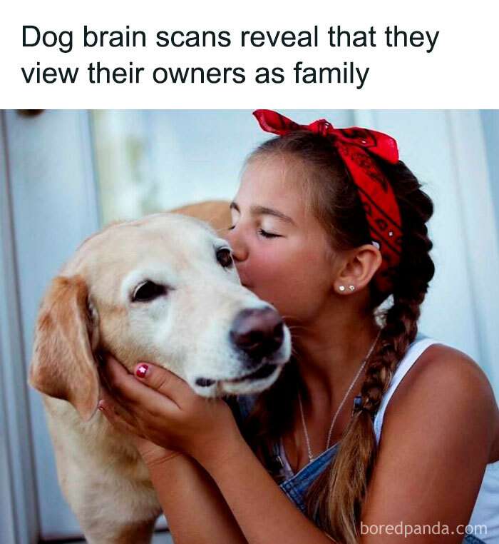 50 “Good News” Stories From “Global Positive News” To Restore Your Faith In Humanity (New Pics) 50 “Good News” Stories From “Global Positive News” To Restore Your Faith In Humanity (New Pics)