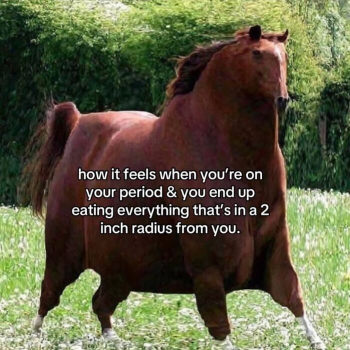 26 Random But Accurate Memes That Almost All Of Us Can Relate To Them 26 Random But Accurate Memes That Almost All Of Us Can Relate To Them