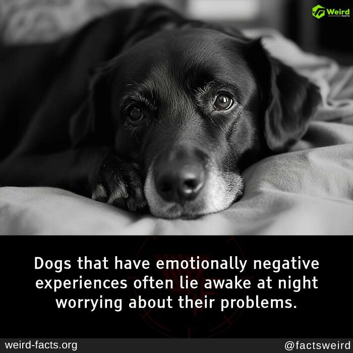 “My Lord, I Had Forgot The Fart”: 50 Random Facts You May Have Not Heard Of Before (New Pics) “My Lord, I Had Forgot The Fart”: 50 Random Facts You May Have Not Heard Of Before (New Pics)