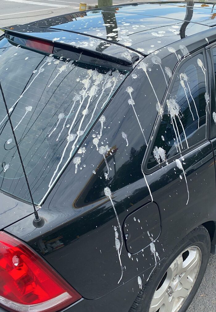 These 50 Posts Are Just Proof That Someone’s Always Having A Worse Day (New Pics) These 50 Posts Are Just Proof That Someone’s Always Having A Worse Day (New Pics)