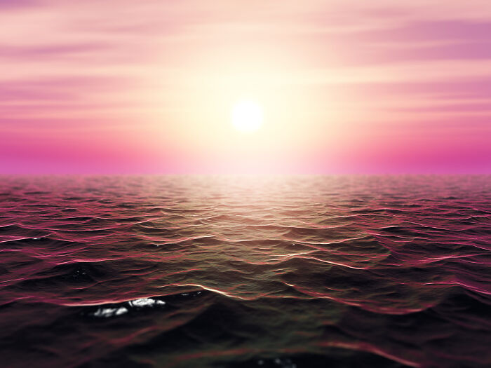 5 Magical Reasons Why Watching Sunsets Should Be Your Daily Ritual 5 Magical Reasons Why Watching Sunsets Should Be Your Daily Ritual