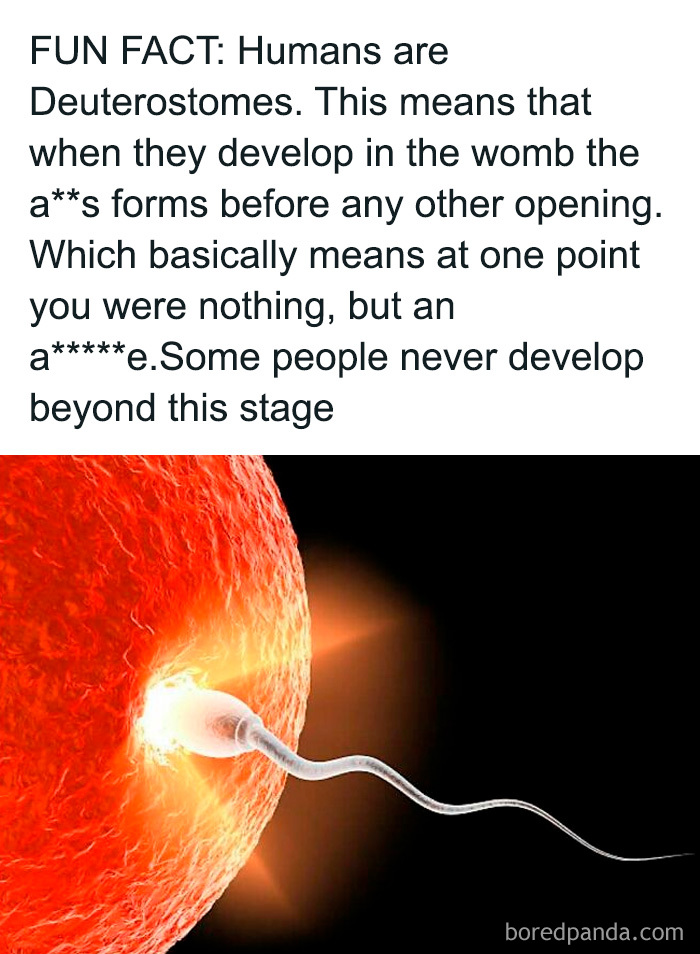 50 Hilarious Posts From This Account Dedicated To Sharing “Men’s Humor” (New Pics) 50 Hilarious Posts From This Account Dedicated To Sharing “Men’s Humor” (New Pics)