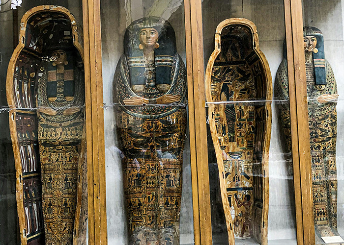 50 Weird And Unsettling Facts People Didn’t Ask For, But This Influencer Shared Anyway 50 Weird And Unsettling Facts People Didn’t Ask For, But This Influencer Shared Anyway