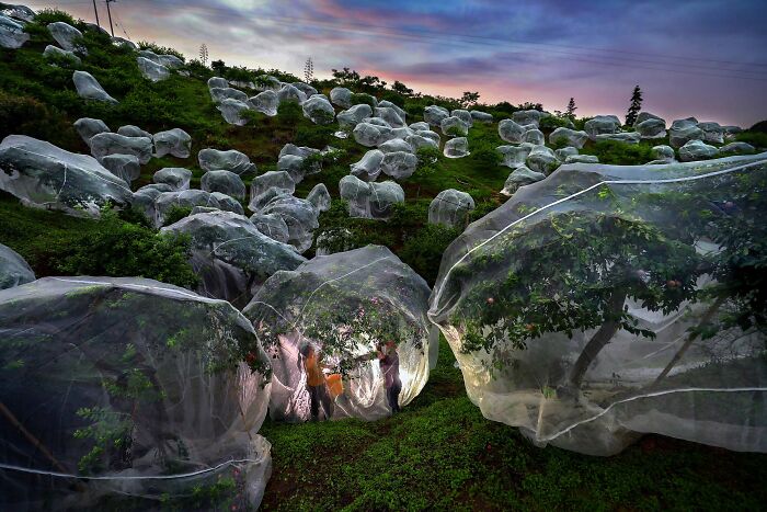 30 Striking Photos From The Istanbul Photo Awards 2025 That Captured The World’s Attention 30 Striking Photos From The Istanbul Photo Awards 2025 That Captured The World’s Attention