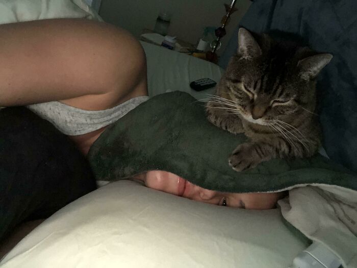 40 Pics Of “Cats Accepting Their Lives” In The Most Hilarious Ways 40 Pics Of “Cats Accepting Their Lives” In The Most Hilarious Ways