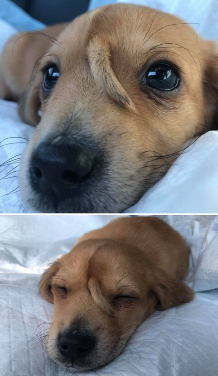 Reality Is Stranger Than Fiction: 50 Of The Most Unreal Photos Reality Is Stranger Than Fiction: 50 Of The Most Unreal Photos