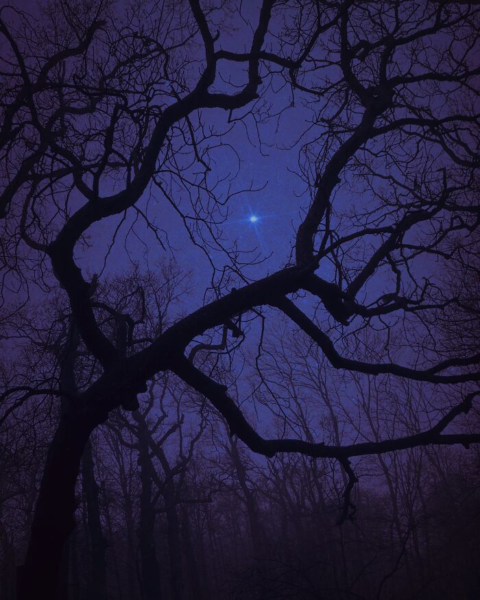 Ethereal Photography That Captures The Beauty Of Darkness And Nostalgia (49 Pics) Ethereal Photography That Captures The Beauty Of Darkness And Nostalgia (49 Pics)