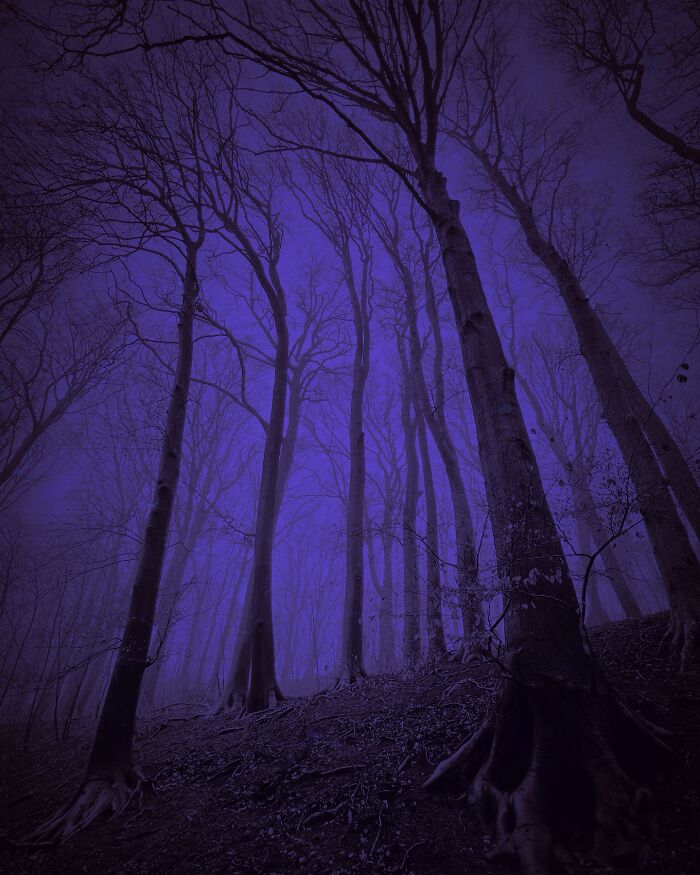 Ethereal Photography That Captures The Beauty Of Darkness And Nostalgia (49 Pics) Ethereal Photography That Captures The Beauty Of Darkness And Nostalgia (49 Pics)