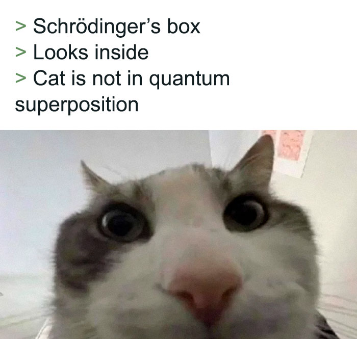 30 Literal Memes That Are Hilariously Straight To The Point (New Pics) 30 Literal Memes That Are Hilariously Straight To The Point (New Pics)