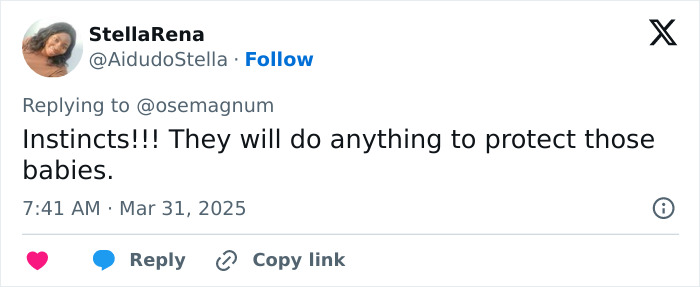 “Angels”: Nurses Go Viral For Risking Their Lives To Protect Newborns During Myanmar Earthquake “Angels”: Nurses Go Viral For Risking Their Lives To Protect Newborns During Myanmar Earthquake