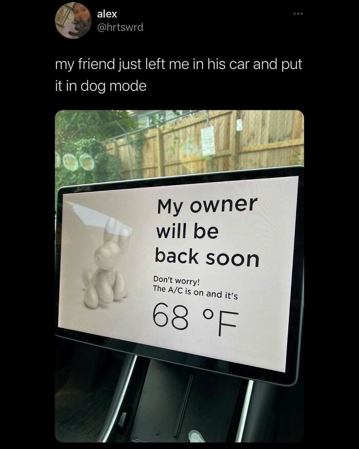 50 Of The Most Relatable, Wholesome, Funny, And Positive Internet Posts You Might See All Day 50 Of The Most Relatable, Wholesome, Funny, And Positive Internet Posts You Might See All Day