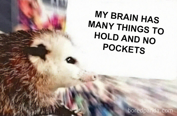 50 Funny Memes To Bring Some Much-Needed Laughter Into Your Life (New Pics) 50 Funny Memes To Bring Some Much-Needed Laughter Into Your Life (New Pics)