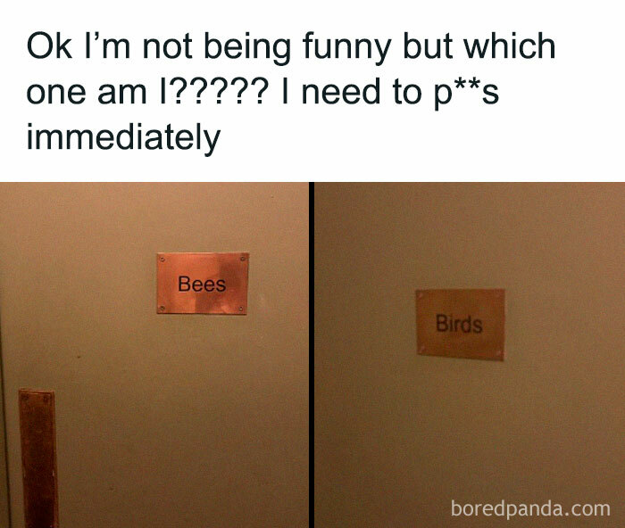 50 Funny Memes To Bring Some Much-Needed Laughter Into Your Life (New Pics) 50 Funny Memes To Bring Some Much-Needed Laughter Into Your Life (New Pics)