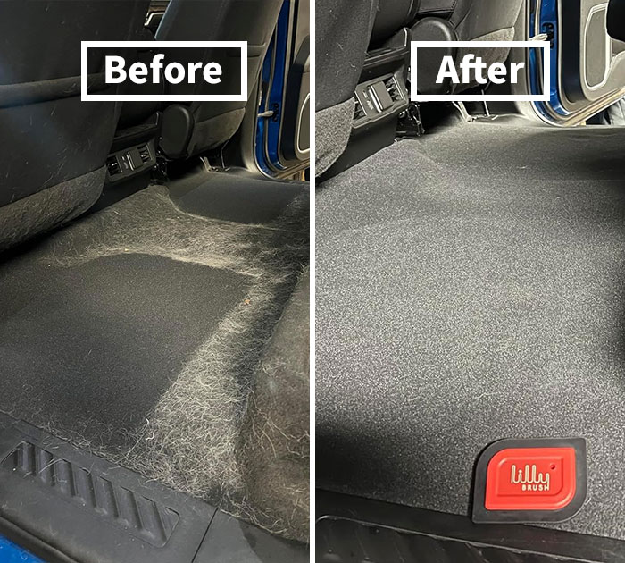 27 Finds That Might Look Ordinary, But They Are Actually Extraordinary 27 Finds That Might Look Ordinary, But They Are Actually Extraordinary