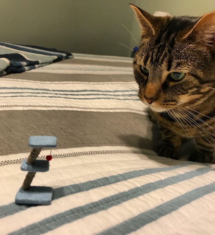 “Forgot To Close The Window Before Getting A Car Wash”: 50 Hilarious Fails People Shared Online “Forgot To Close The Window Before Getting A Car Wash”: 50 Hilarious Fails People Shared Online