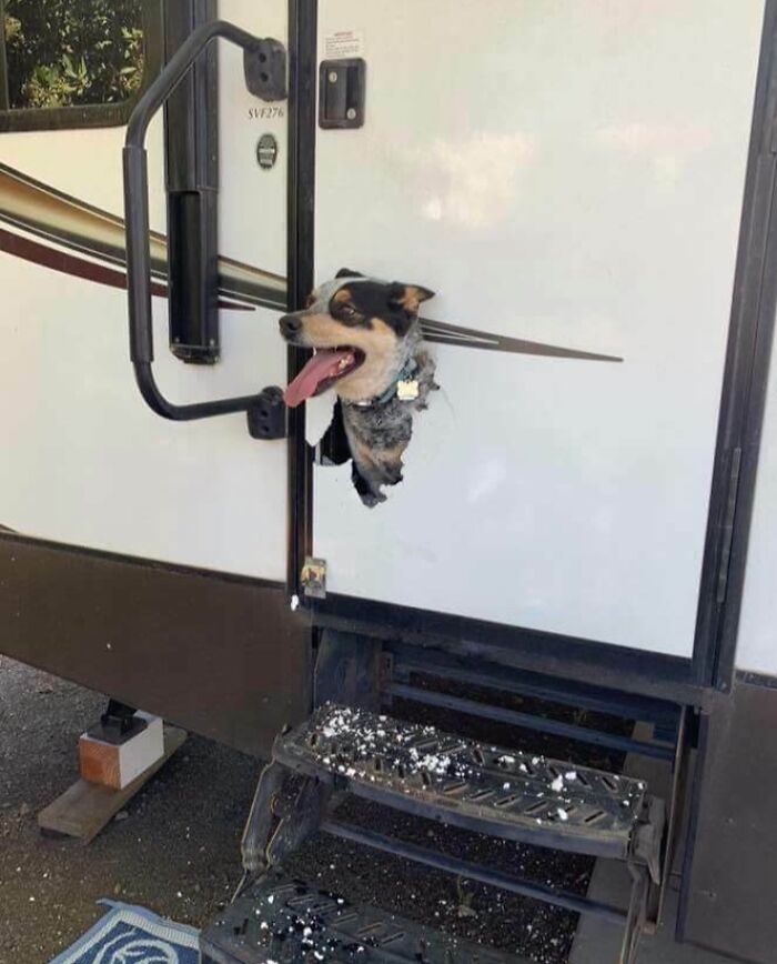 “Forgot To Close The Window Before Getting A Car Wash”: 50 Hilarious Fails People Shared Online “Forgot To Close The Window Before Getting A Car Wash”: 50 Hilarious Fails People Shared Online