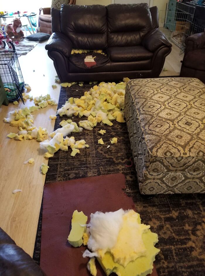 “Forgot To Close The Window Before Getting A Car Wash”: 50 Hilarious Fails People Shared Online “Forgot To Close The Window Before Getting A Car Wash”: 50 Hilarious Fails People Shared Online