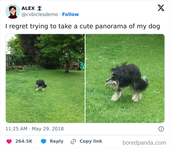 “Forgot To Close The Window Before Getting A Car Wash”: 50 Hilarious Fails People Shared Online “Forgot To Close The Window Before Getting A Car Wash”: 50 Hilarious Fails People Shared Online