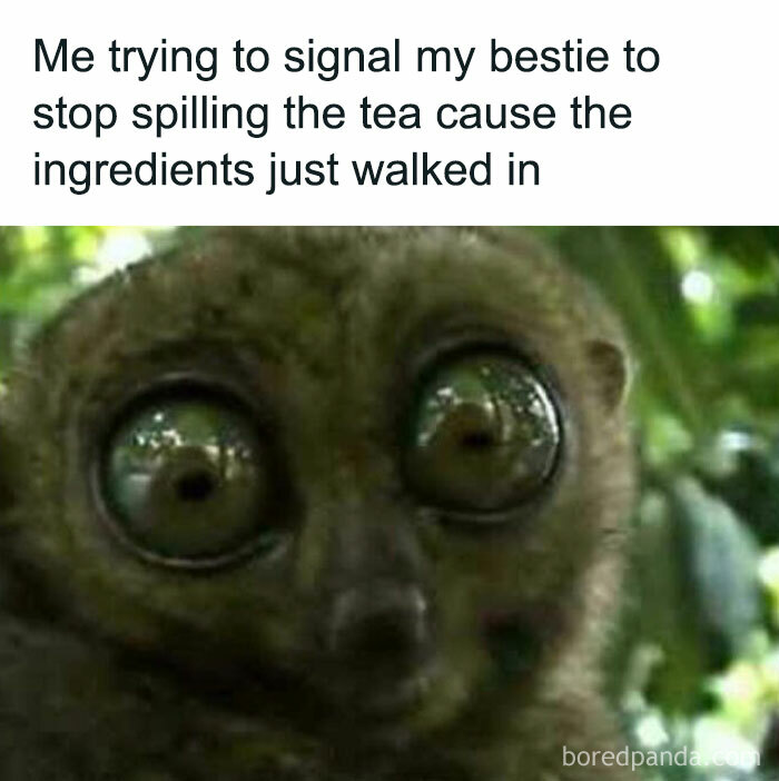 150 Funny Work Memes That Understand You And Your Deep Craving To Quit 150 Funny Work Memes That Understand You And Your Deep Craving To Quit
