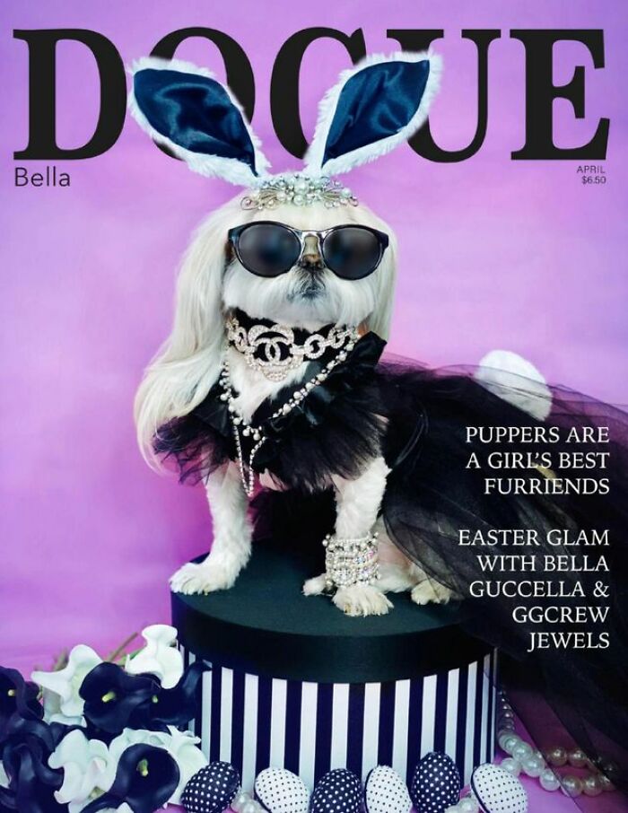 Dogue: 24 Cover Images Of Playful Fashion Dog Parody Of Vogue Magazine Dogue: 24 Cover Images Of Playful Fashion Dog Parody Of Vogue Magazine