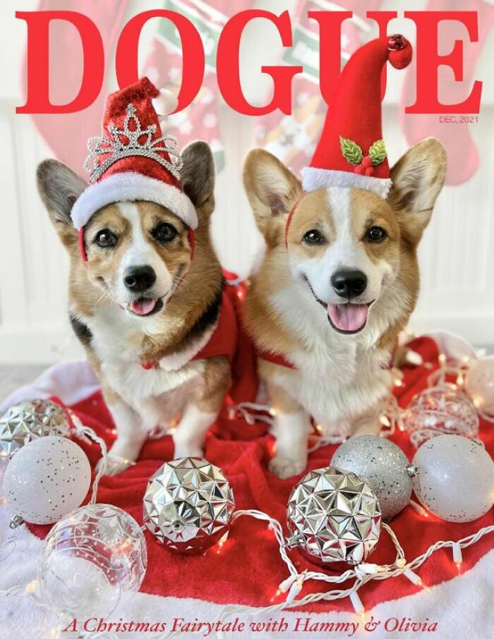 Dogue: 24 Cover Images Of Playful Fashion Dog Parody Of Vogue Magazine Dogue: 24 Cover Images Of Playful Fashion Dog Parody Of Vogue Magazine