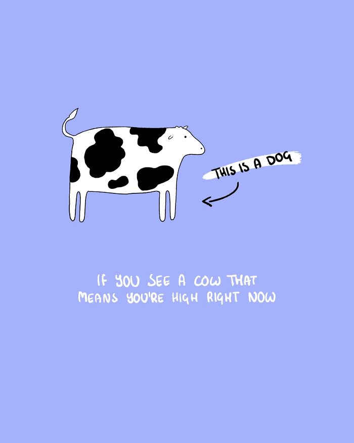 29 Relatable, Silly, And A Little Unhinged Illustrations Of Cows, Created By This Artist 29 Relatable, Silly, And A Little Unhinged Illustrations Of Cows, Created By This Artist