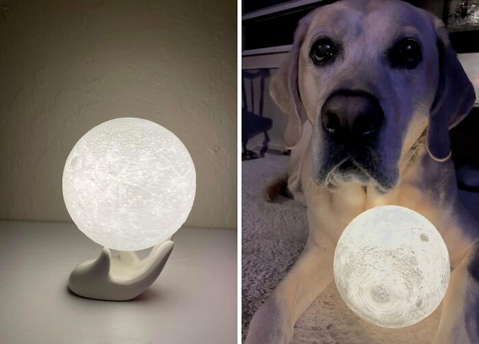 26 Show-Stopping Finds That’ll Make Everyone Ask “OMG Where Did You Get That”