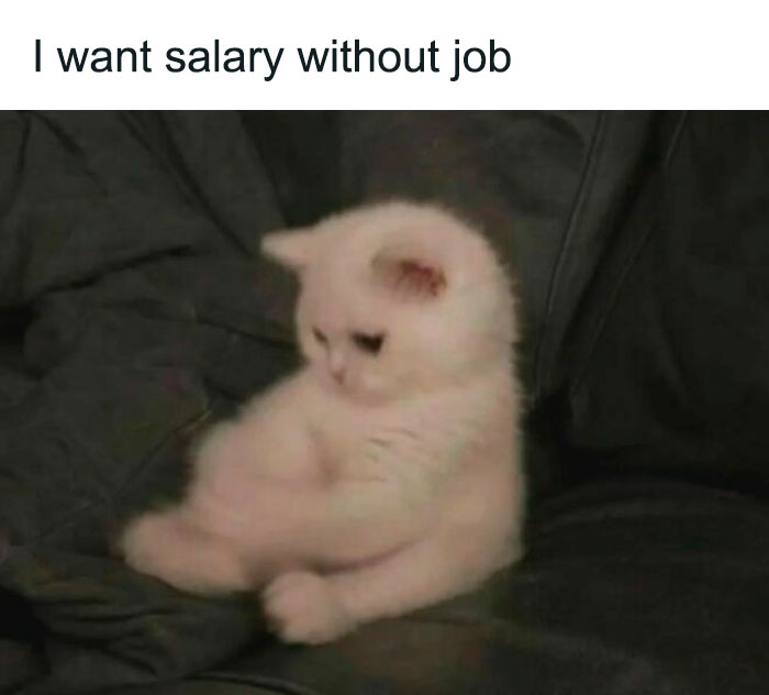 35 Random Memes To Help You Laugh Through The Madness Of The Mundane (New Pics) 35 Random Memes To Help You Laugh Through The Madness Of The Mundane (New Pics)