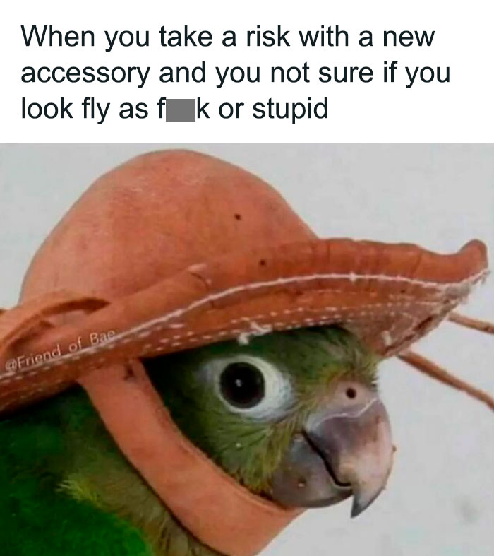 35 Random Memes To Help You Laugh Through The Madness Of The Mundane (New Pics) 35 Random Memes To Help You Laugh Through The Madness Of The Mundane (New Pics)