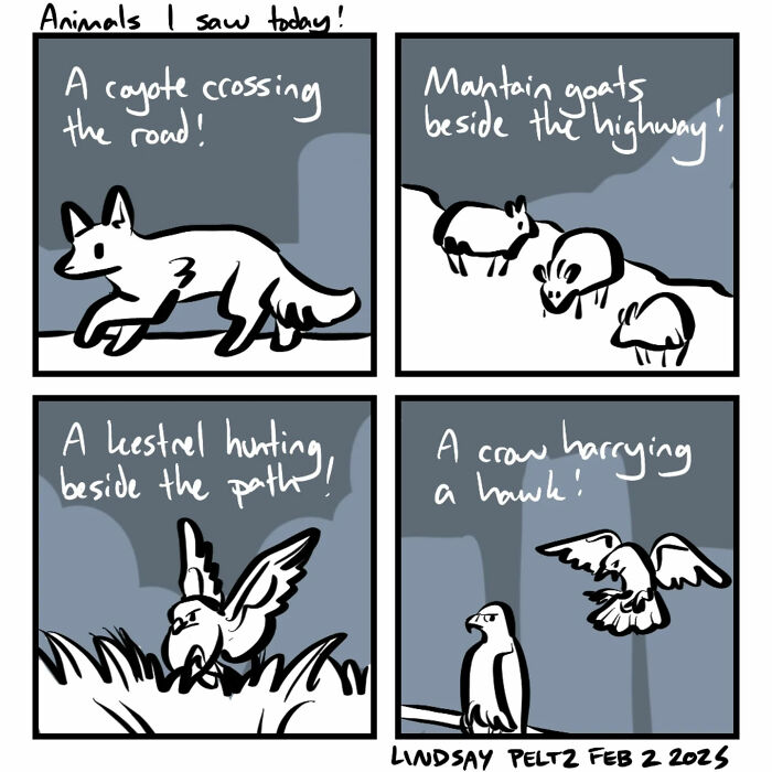 Artist Created 25 Relatable Comics That Perfectly Capture Life’s Struggles Artist Created 25 Relatable Comics That Perfectly Capture Life’s Struggles