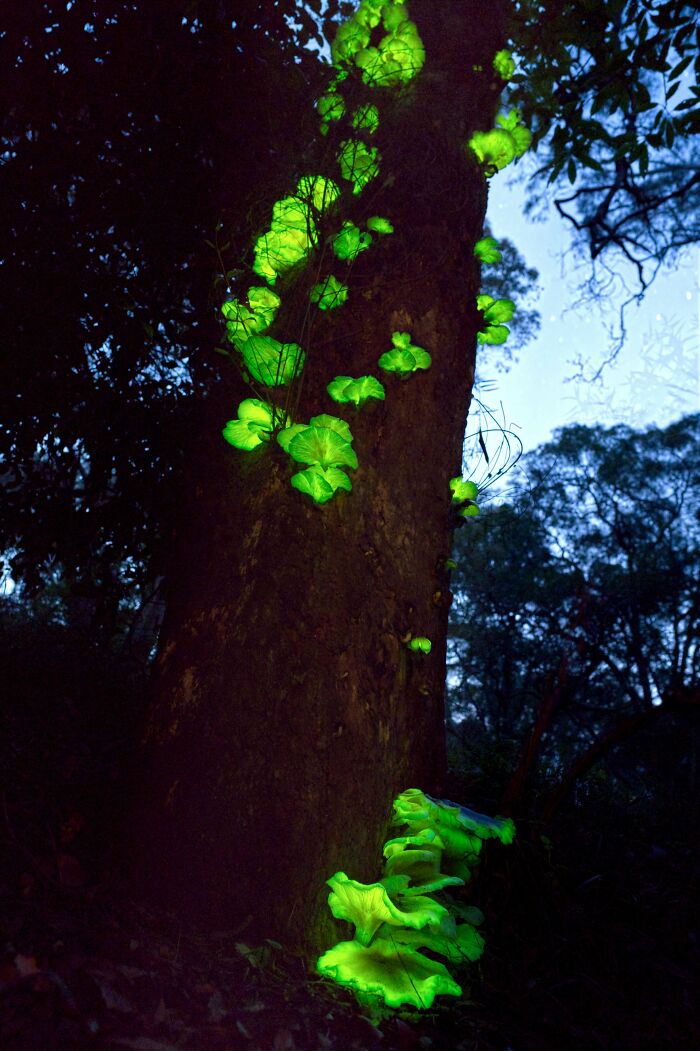 This Online Community Celebrates The Land Of ‘Nope’, Here Are 30 Of The Most Interesting Posts (New Pics) This Online Community Celebrates The Land Of ‘Nope’, Here Are 30 Of The Most Interesting Posts (New Pics)