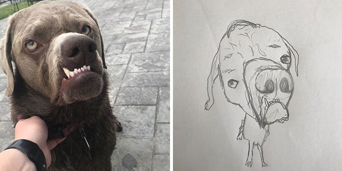 This Guy Gives His Followers&rsquo; Profile Pics A Hilarious Makeover With His Drawings (40 Pics)