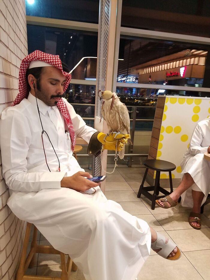 The Rules Of Normal Life Simply Do Not Apply In Dubai According To These 32 Photos
